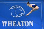 Swim vs Bentley  Wheaton College Swimming & Diving vs Bentley University. - Photo by Keith Nordstrom : Wheaton, Swimming & Diving